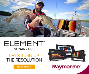 Raymarine AUS Element HV MPU