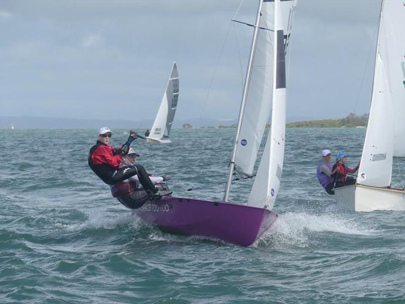 Pigs In Space Too Too - Peter Mann and Alexa Mann - 2nd Place Overall - 2018 South East Queensland National 125 Titles photo copyright Darling Point Sailing Squadron taken at Darling Point Sailing Squadron and featuring the 125 class