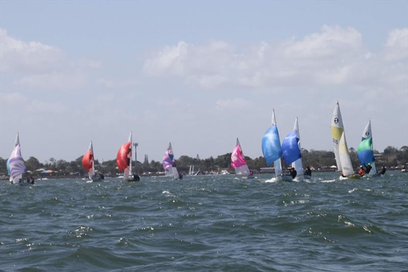 The Chasing Fleet - 42nd 125 Australian Championships  photo copyright Humpybong Yacht Club taken at Humpybong Yacht Club and featuring the 125 class