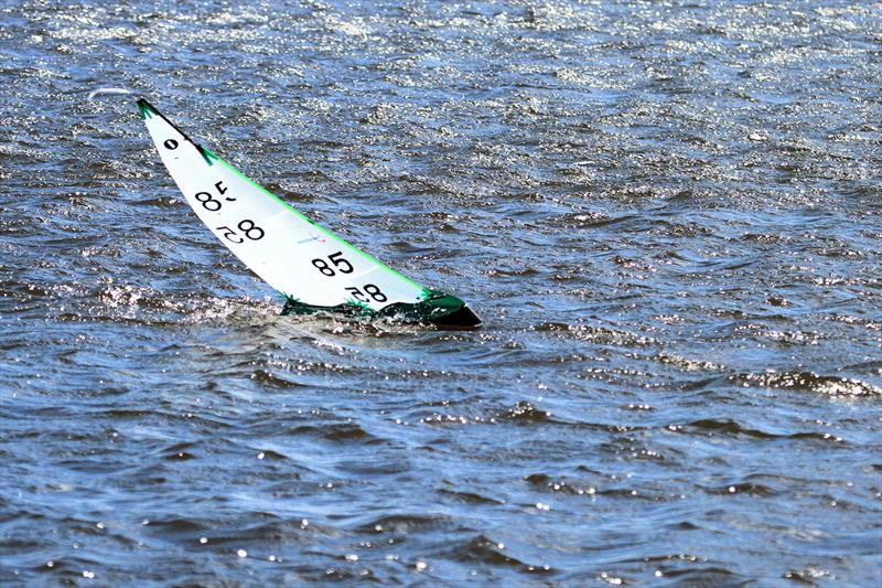 MYA Scottish District IOM Travellers event 2 at Kinghorn Loch photo copyright David Marrs taken at Kinghorn Radio Sailing Club and featuring the One Metre class