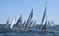 Perfect racing conditions on Gippsland Lakes for the 2.4mR Australian Championship on day 2 - - 2025 2.4mR Australian Championship Paynesville © John Dingley, GLYC