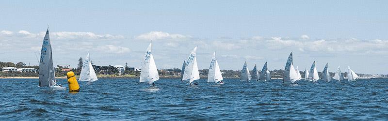 2.4mR Australian Championships 2024 photo copyright Royal Brighton Yacht Club taken at Royal Brighton Yacht Club and featuring the 2.4m class