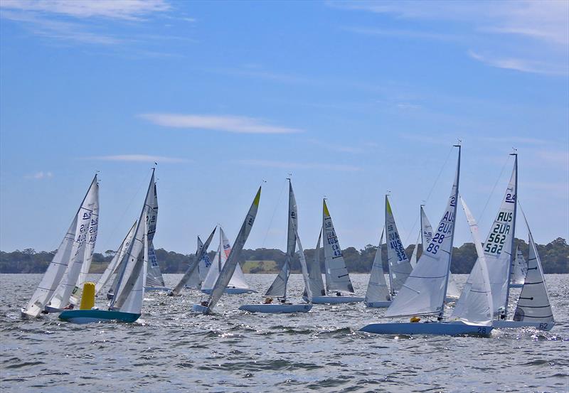 Close racing on Gippsland Lakes on Day One of the 2025 2.4mR Australian Championship photo copyright Christie Arras taken at Gippsland Lakes Yacht Club and featuring the 2.4m class