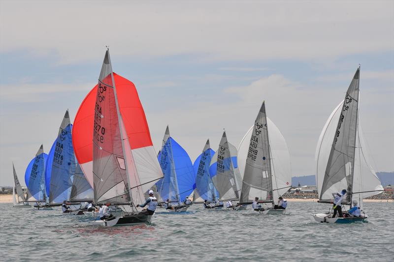 505 Pre-Worlds Day One photo copyright Christophe Favreau taken at Adelaide Sailing Club and featuring the 505 class