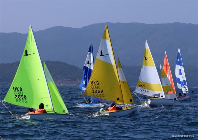 Hansa 303s prepare to start - Open Dinghy Regatta, Day 1 photo copyright Hebe Haven Yacht Club taken at Hebe Haven Yacht Club and featuring the Hansa class