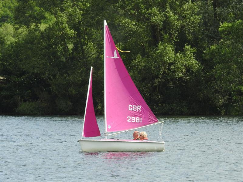 Hansa 303 during the SESCA Antigua Sailing Day Regatta 2022 photo copyright Steve Smith taken at St Edmundsbury Sailing & Canoeing Association and featuring the Hansa class