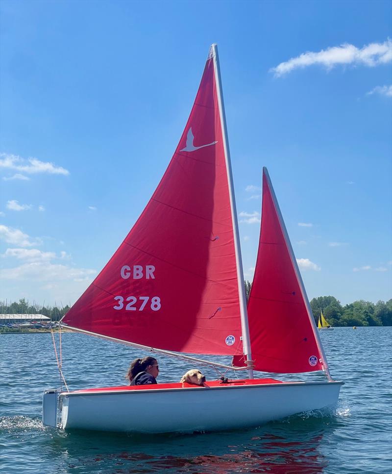 Hansa Class UK Nationals 2024 at Whitefriars photo copyright Nicky Durston taken at Whitefriars Sailing Club and featuring the Hansa class