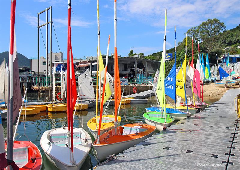 Colour at the club during Bart's Bash 2024 at Hebe Haven Yacht Club - photo © Hebe Haven Yacht Club