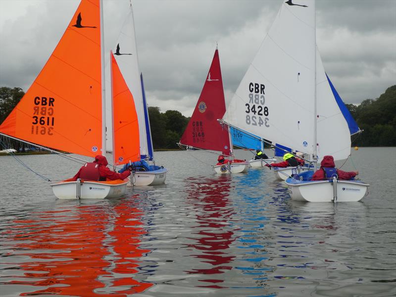 Hansa Class UK Traveller Trophy Series Round 9 at Frensham Pond Sailability photo copyright Sean Warnock taken at Frensham Pond Sailability and featuring the Hansa class