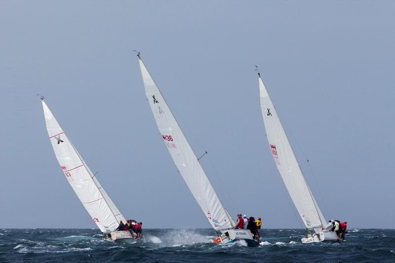 A trio of Adams 10s - 2018 Sydney Harbour Regatta - photo © Andrea Francolini / MHYC