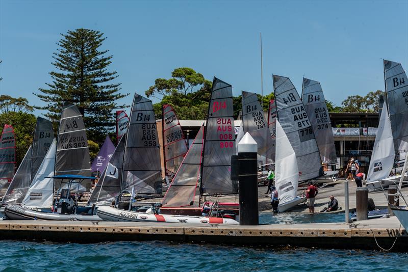 B14 Worlds 2025 on Sydney Harbour Day 1 - photo © Andrew Lee / @aclee.photo