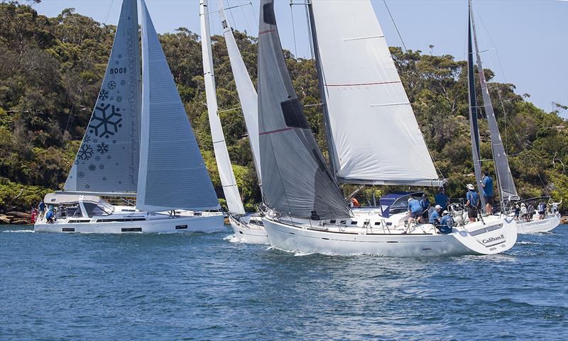 The Spinnaker Division jostle for position immediately after the start to get out of Taylors Bay - photo © John Curnow