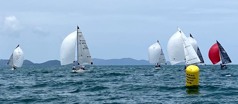 Platu Thailand Champs 2024 photo copyright Thammask Meeusamsen taken at Ocean Marina Yacht Club and featuring the Platu 25 class