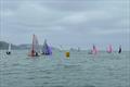 BUCS British University Fleet Racing Championships at Torbay © BUSA