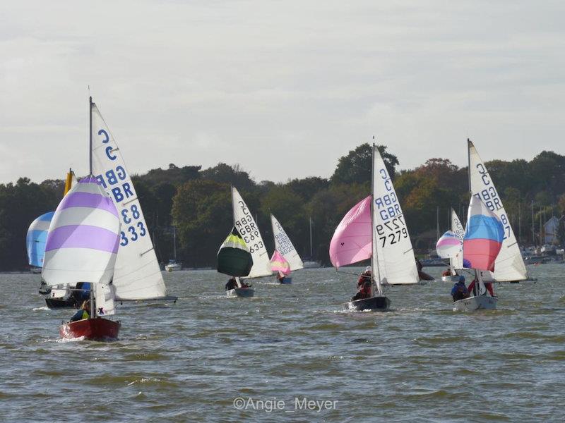 Cadet Open Meeting at Waldringfield - photo © Angie Meyer