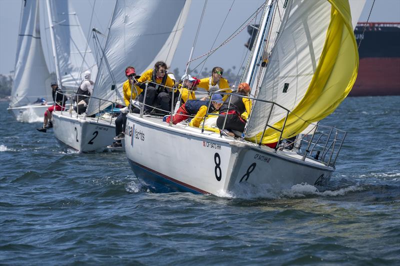 Ullman Sails Long Beach Race Week 2024 - Day 1 photo copyright Bronny Daniels taken at Long Beach Yacht Club and featuring the Catalina 37 class