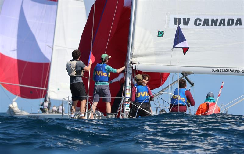 Port of Los Angeles Harbor Cup - Day 1 photo copyright Bronny Daniels / Joysailing.com taken at Los Angeles Yacht Club and featuring the Catalina 37 class