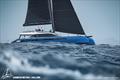 Caribbean Multihull Challenge © Laurens Morel / www.saltycolours.com