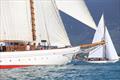 Orion set for the 13th Viareggio Gathering of Historic Sailboats © Maccione