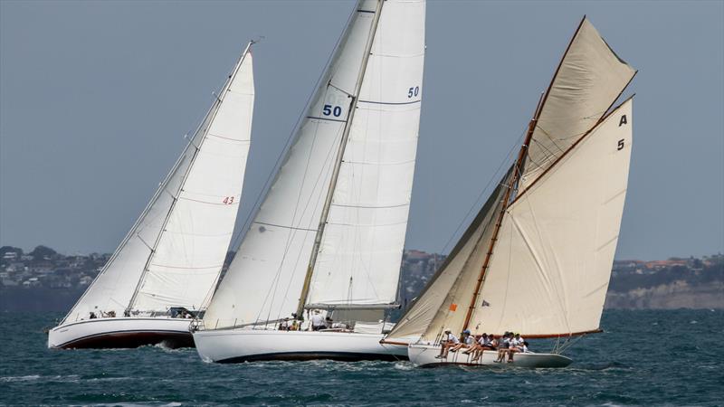 Rawene (A5 - 1908, Logan), Ta'Aroa - A50 - S&S 1964, and Northerner (A43 - Stewart 1964) - Mahurangi Regatta - Janury 29, 2022 - photo © Richard Gladwell - Sail-World.com/nz