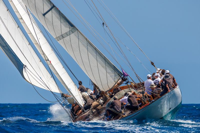 Puig Vela Clàssica Day 1 photo copyright Nico Martinez / www.MartinezStudio.es taken at Real Club Nautico de Barcelona and featuring the Classic Yachts class