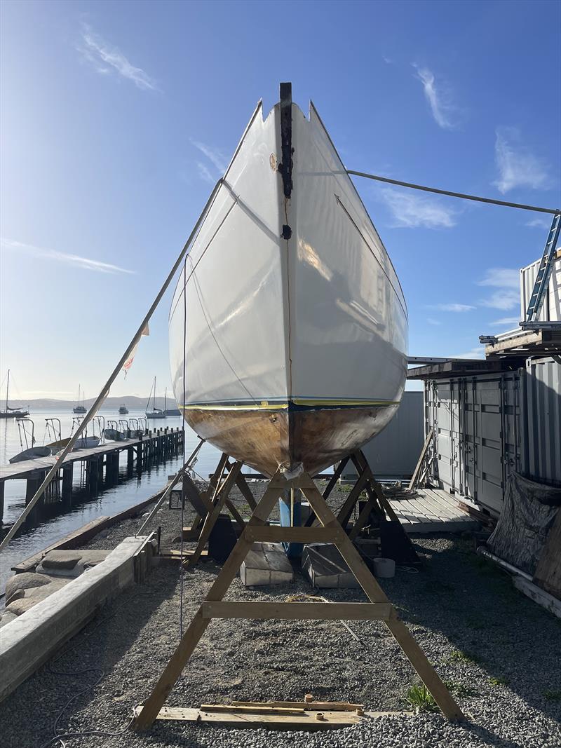 Tradition photo copyright Jeni Bone taken at  and featuring the Classic Yachts class