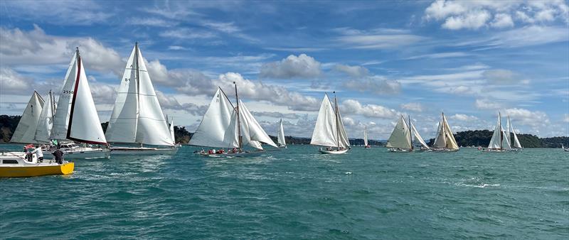 Start - Mahurangi Cruising Club Regatta - January 25, 2025 - photo © MCC Media Centre