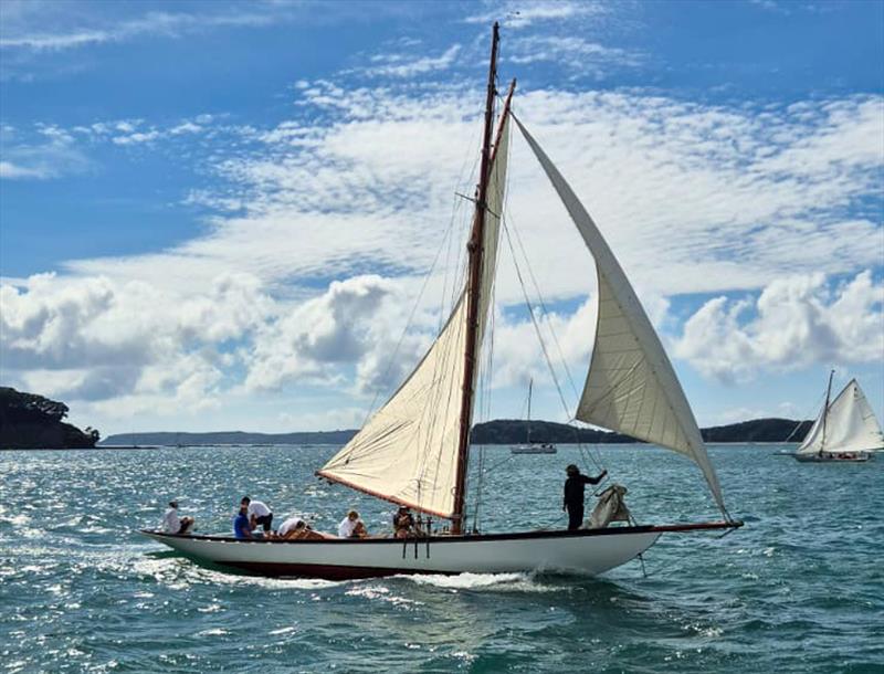 Mahurangi Cruising Club Regatta - January 25, 2025 - photo © MCC Media Centre