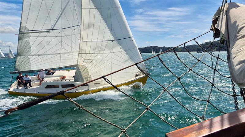 Mahurangi Cruising Club Regatta - January 25, 2025 - photo © MCC Media Centre