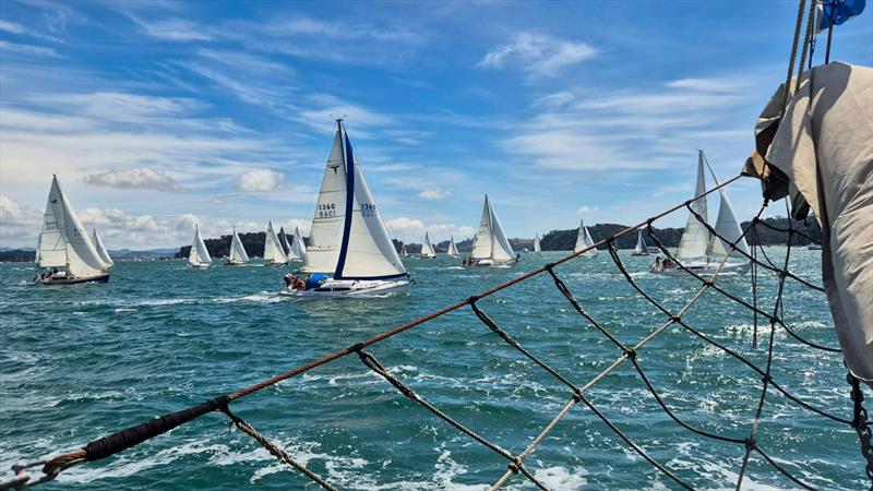 Mahurangi Cruising Club Regatta - January 25, 2025 - photo © MCC Media Centre