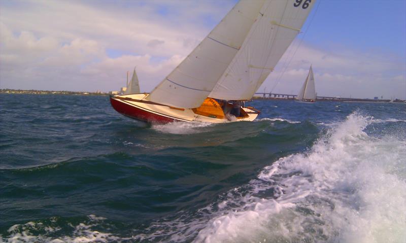 Tumlare Avian eats the Port Phillip chop   - Tumlaren State Titles - photo © Peter Costolloe