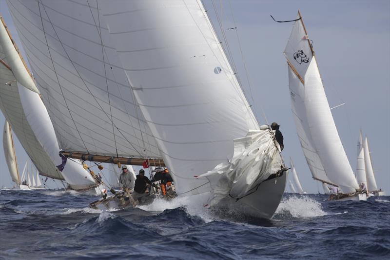 Les Voiles de Saint-Tropez 2025 Day 5 - photo © Eugenia Bakunova