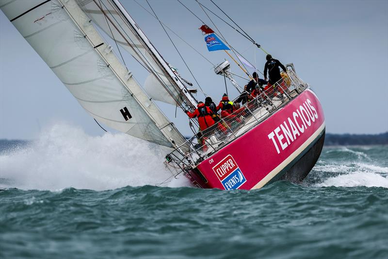 Tenacious during the Knox-Johnston Cup 2024 - photo © Paul Wyeth