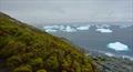 Moss turns the Antarctic green © Matt Amesbury