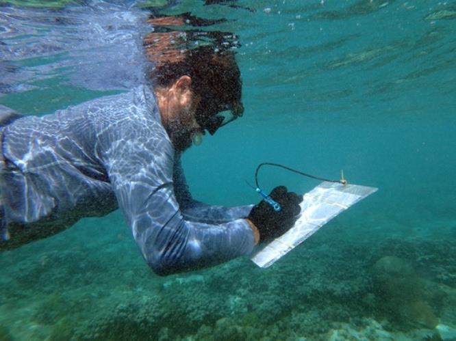 A NOAA diver assesses damage to corals from the derelict vessels photo copyright NOAA Fisheries taken at  and featuring the Cruising Yacht class