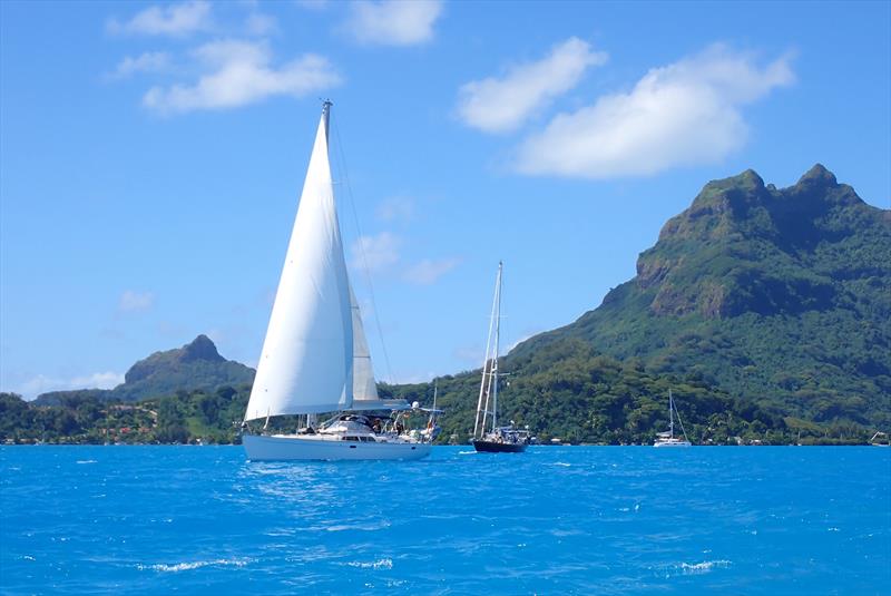 World ARC 2024-25 - photo © World Cruising Club