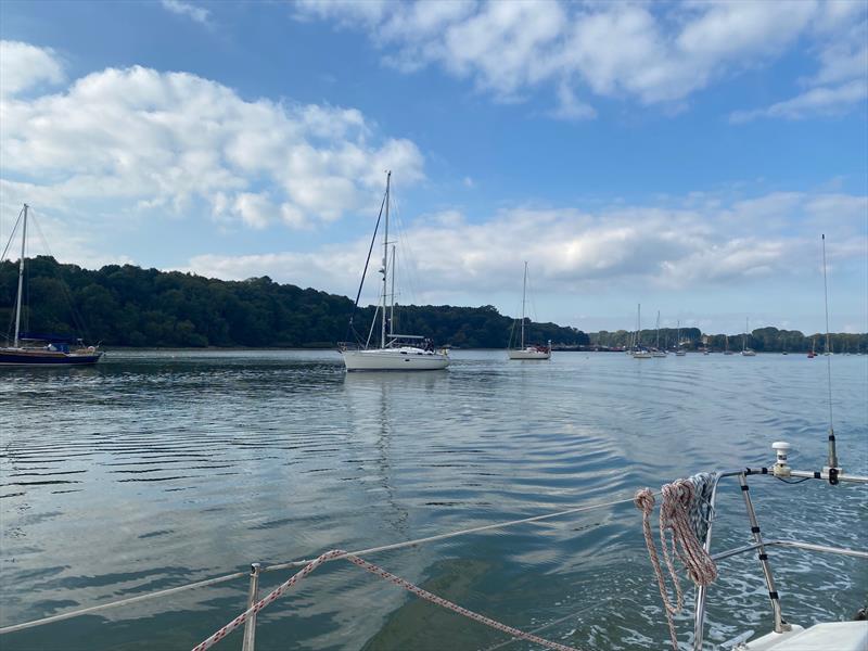 Catch Me If You Can at Royal Harwich Yacht Club photo copyright Gordon Sutton taken at Royal Harwich Yacht Club and featuring the Cruising Yacht class