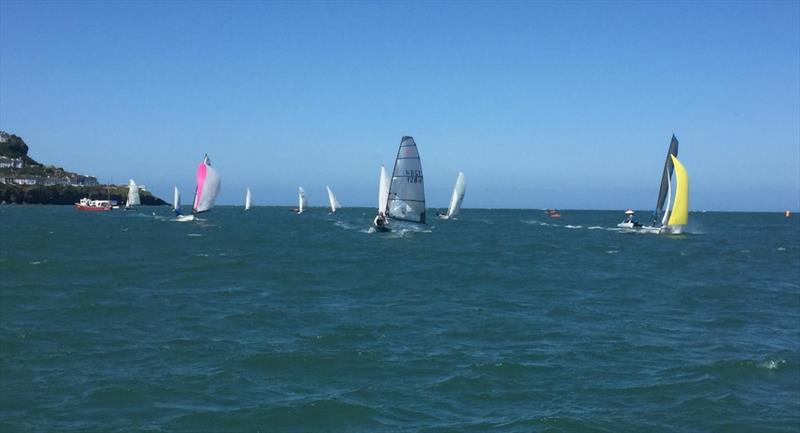 Cardigan Bay Regatta at New Quay Dinghy Fleet - photo © Rees Tom Jones, Martyn Johnson, Fiona Lloyd Evans, Chris Seal