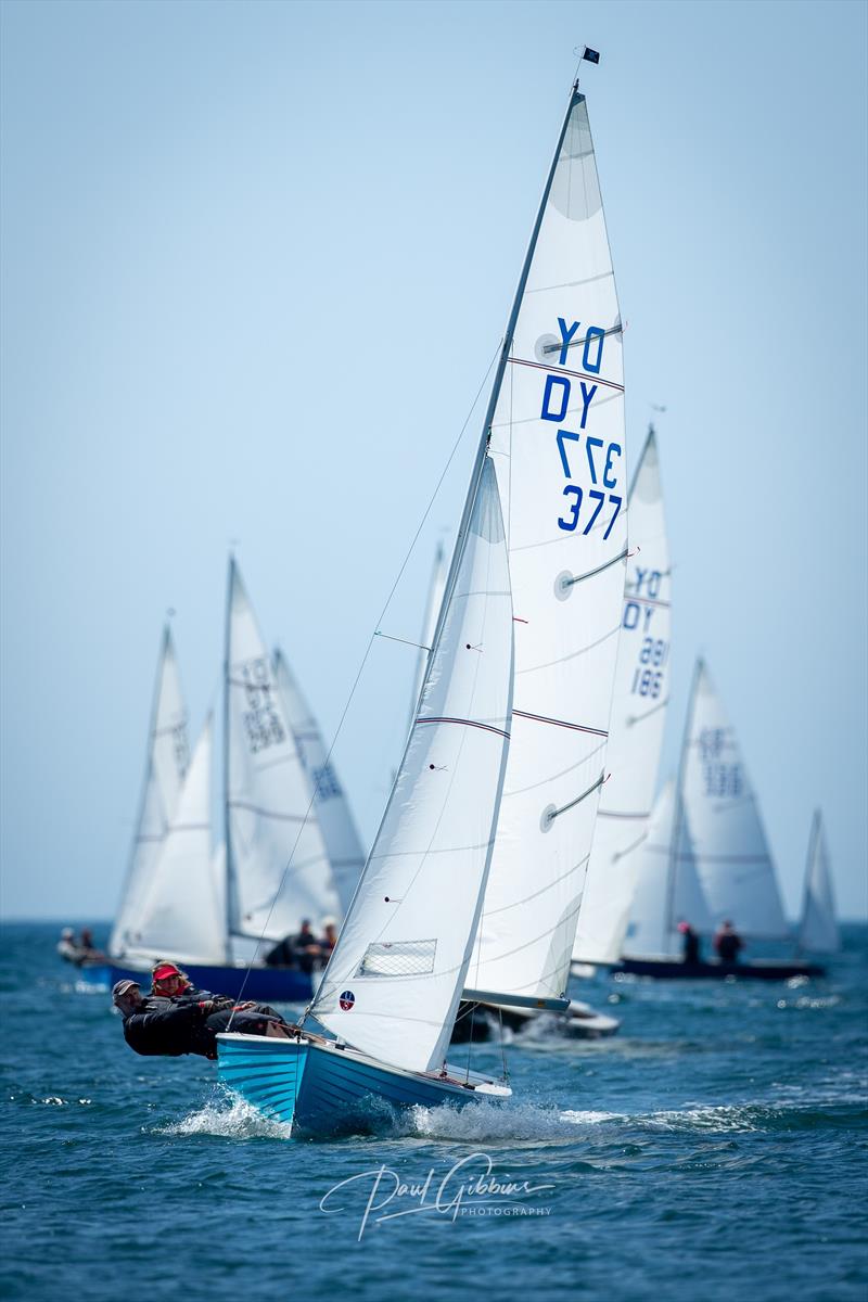 Devon Yawl Nationals 2023 photo copyright Paul Gibbins Photography taken at Yealm Yacht Club and featuring the Devon Yawl class