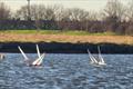 DF95 Winter Series event 1 at East Kent Radio Sailing Club © Peter Jackson