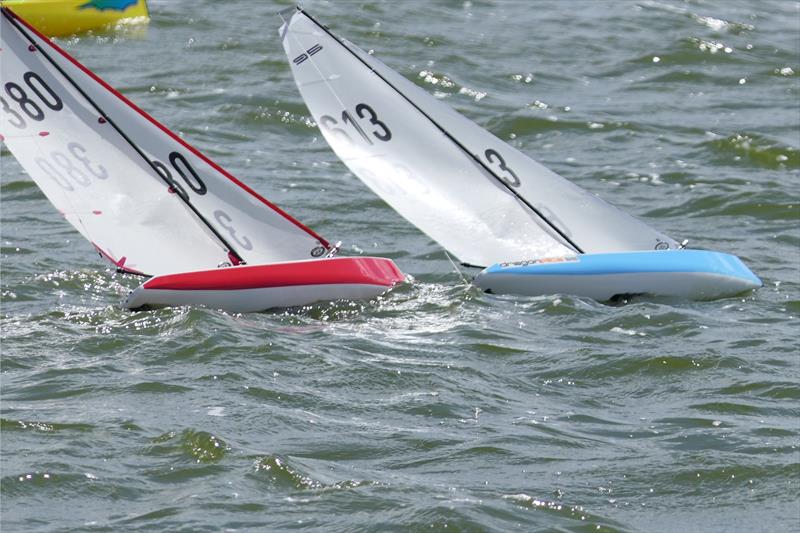 DF95 Summer Series event 1 at Barton's Point Country Park - photo © Alan Hounsell