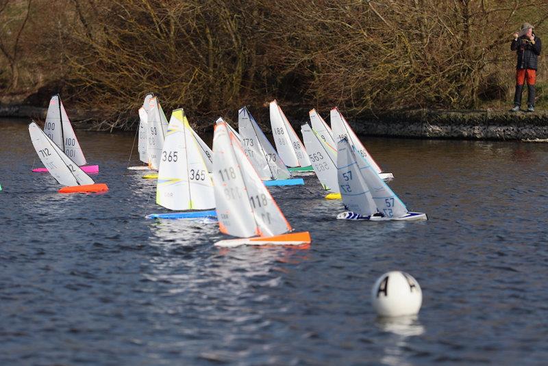 DragonForce 65 and DragonFlite 95 TT at Blithfield photo copyright Alastair Reid taken at Blithfield Sailing Club and featuring the DF95 class