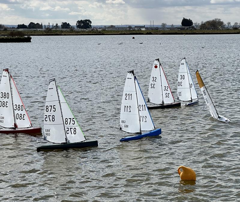 DF95 Winter Series event 8 at East Kent RSC photo copyright Peter Jackson taken at East Kent Radio Sailing Club and featuring the DF95 class