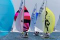 International Dragons fly colourful spinnakers on Botany Bay during day one of the Prince Philip Cup © Andrea Francolini