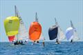 Grand Prix d'Italia Dragon Cup 2026 at Yacht Club Sanremo &copy; Raffaella Ramondetti 