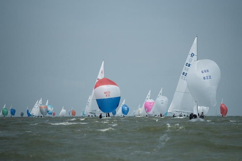 Day 2 - 2019 Yanmar Dragon Gold Cup - photo © Eric van den Bandt