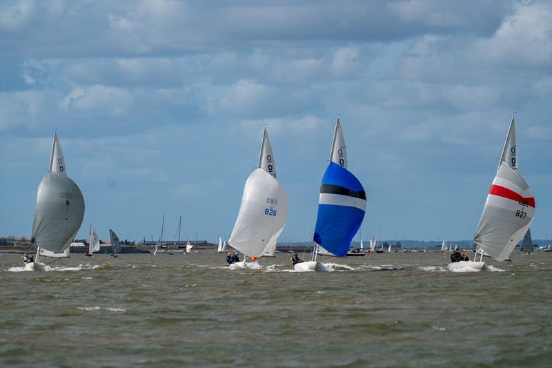 Dragons with a running start during the second day of Burnham Week 2024 photo copyright Petru Balau Sports Photography / sports.hub47.com taken at Royal Corinthian Yacht Club and featuring the Dragon class