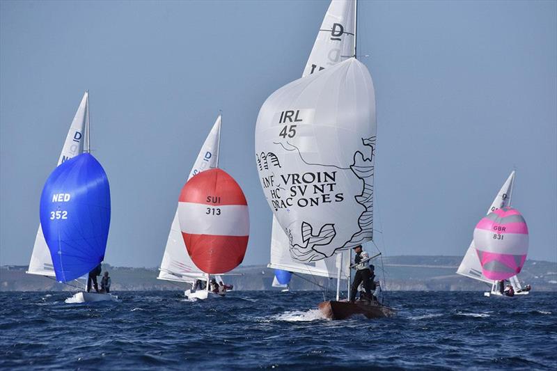 Kinsale Dragon Gold Cup 2024 Day 2 - photo © David Cullinane