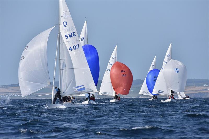 Kinsale Dragon Gold Cup 2024 Day 2 photo copyright David Cullinane taken at Kinsale Yacht Club and featuring the Dragon class