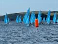 Goat Marine Enterprise Nationals at Looe Day 5 © Frances Marshall